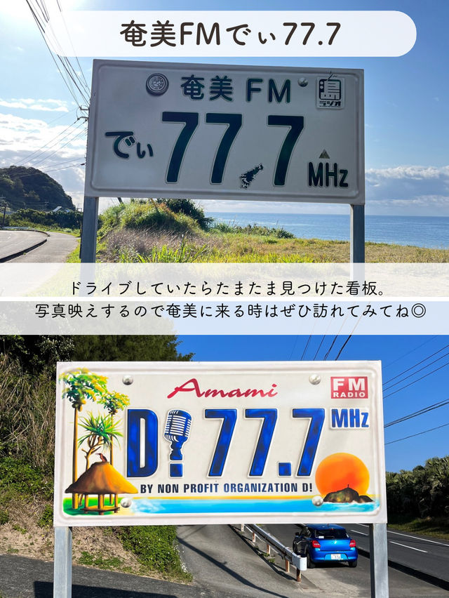 【奄美大島】鹿児島県の島を楽しむ、おすすめSPOT7選