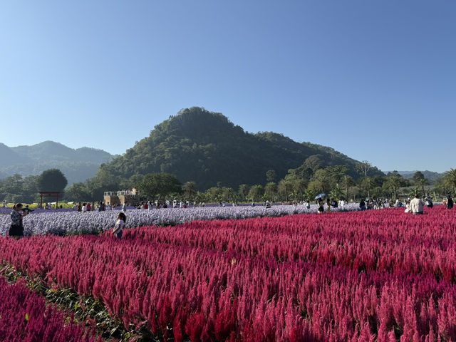 Hokkaido Flower Park 💐