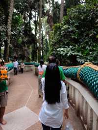 คำชะโนด: ดินแดนศักดิ์สิทธิ์แห่งพญานาค
