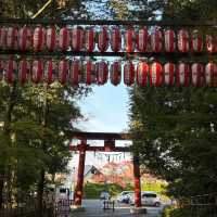光雲神社🍀古樸蒼翠