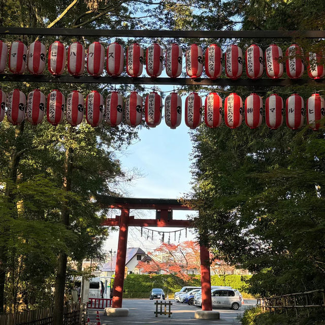 光雲神社🍀古樸蒼翠