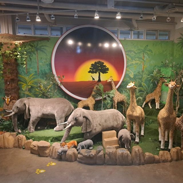 泰迪熊動物王國Teseum🐻濟州島Aqua Planet水族館🐠山茶花之丘🌻🌞旅遊景點介紹👍