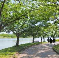 駕與丁公園，一年四季充滿自然美的地標