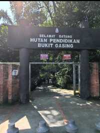 Escape to Nature: Hiking Bukit Gasing's Serene Trails