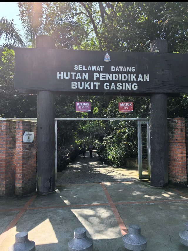 Escape to Nature: Hiking Bukit Gasing's Serene Trails