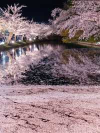 【青森弘前城】桜の名所で感動のお花見を！