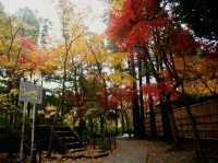 千葉🇯🇵本土寺