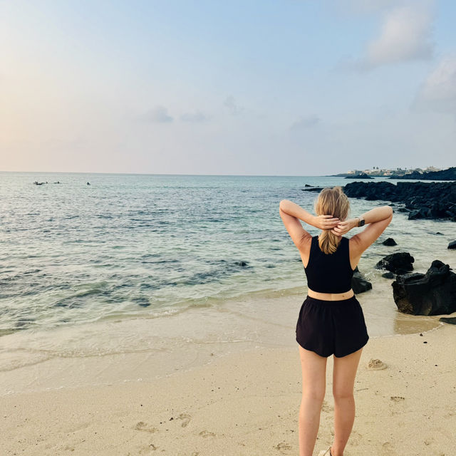 How to hike around Jeju 🇰🇷 🥾 