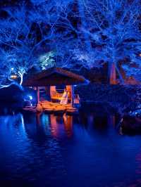 【無料で楽しめる！✨】八芳園のブルーライトアップが幻想的すぎる！！💡