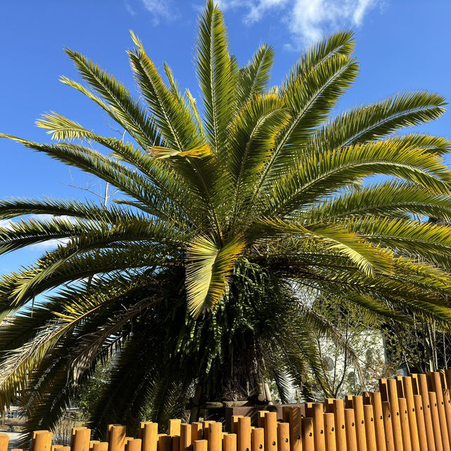 福岡市動植物園 - 在紅葉之美下的奇妙世界