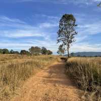 Khao Yai national park