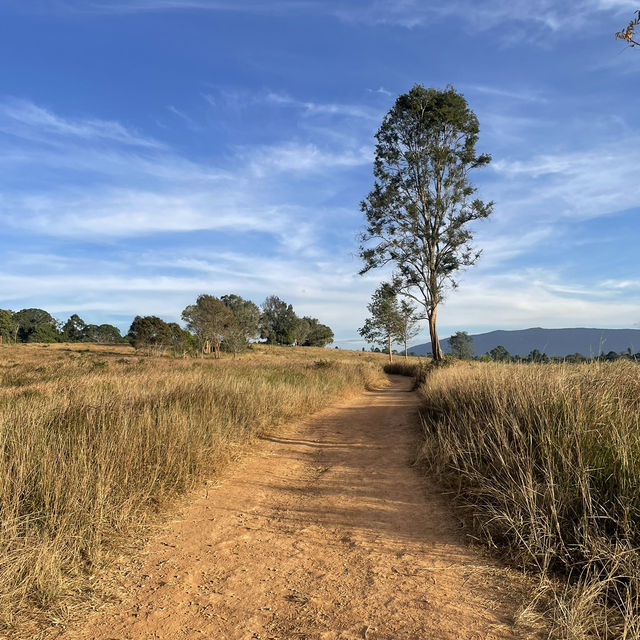 Khao Yai national park