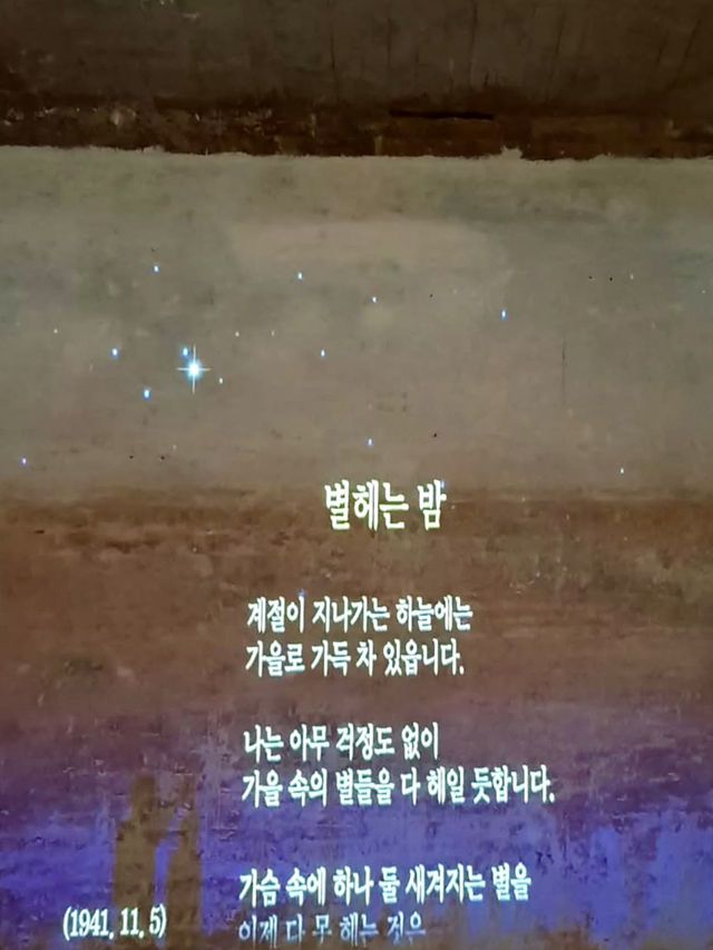 잔잔하고 차분하게 🚶‍♂️교양 여행을 떠나기에 좋은 종로 여행지 📖