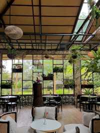 rain forest Cafe in the Hill