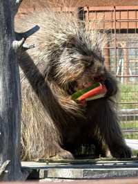 So glad I came to this wildlife center! 