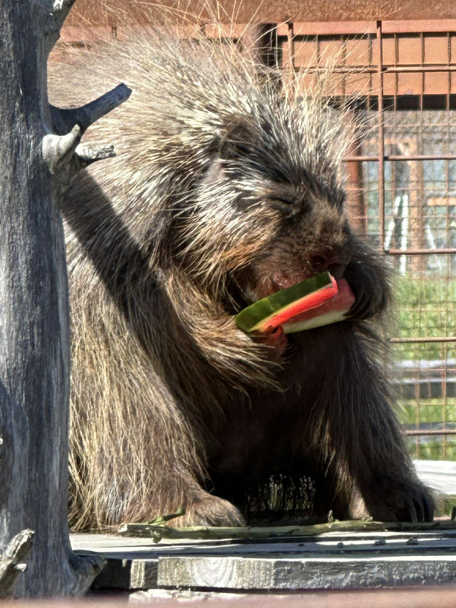 So glad I came to this wildlife center! 