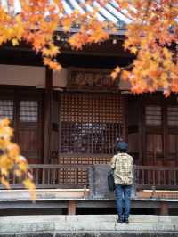🍁 秋色に染まる常寂光寺で心ほどけるひととき 🍁