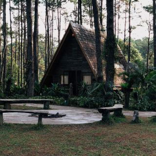Doi Bo Luang Forest Park | Chiang Mai