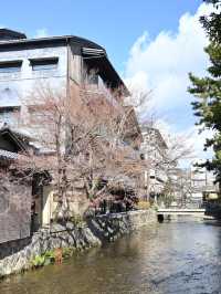【京都｜祇園】京都らしい町並みを歩きたいなら花見小路通や祇園白川へいってみよう
