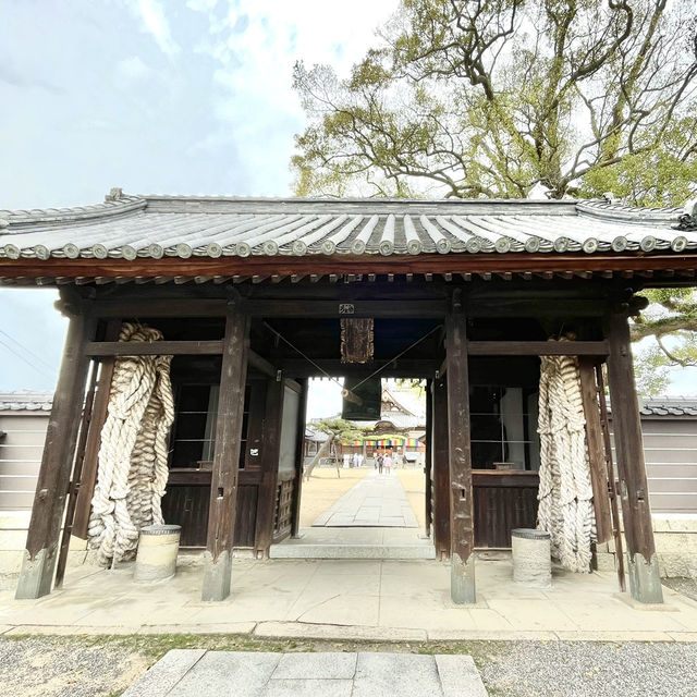🇯🇵【香川県】四国八十八ヶ所霊場 第87番札所 長尾寺