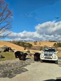 Kyushu Wildlife African Safari 🐆🐃🦬🦌🦓🐘🦒