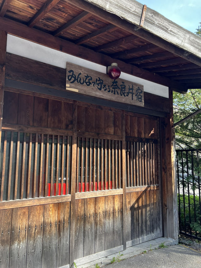 【長野】レトロな駅舎🚉沿線に梅が咲き誇る駅