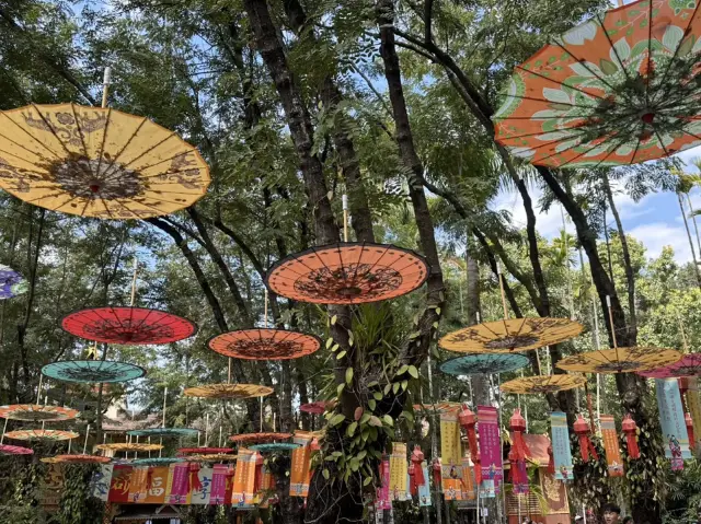 저는 상상도 못했어요…이렇게 놀라운 곳!!!