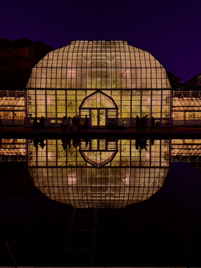 名古屋｜夢幻楓紅倒影的正確打開方式 東山植物園 