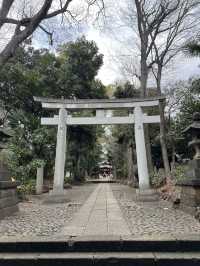 東京神社遊記：代代木八幡宮！