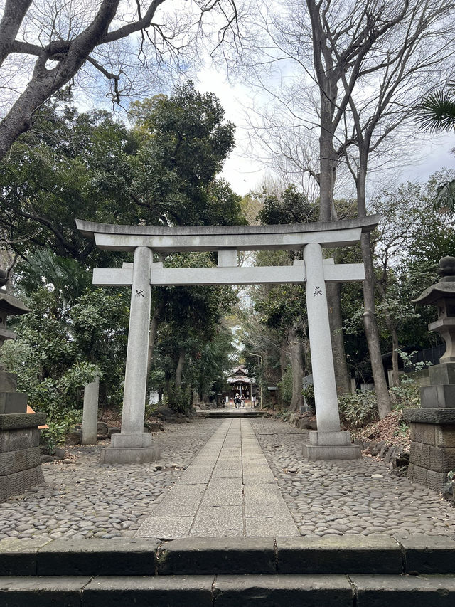 東京神社遊記：代代木八幡宮！