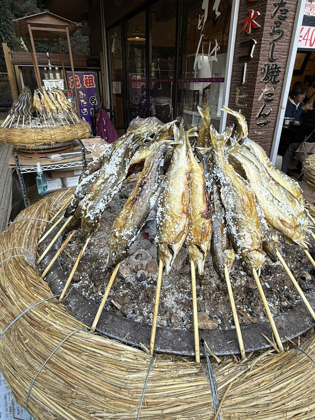歴史と自然が融合する場所、『鹿島神宮』の魅力⛩️