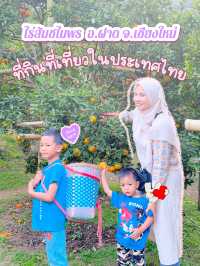ไร่ส้มชไมพร