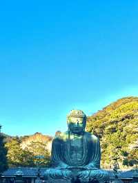 🏯 鎌倉大仏（高徳院）攻略ガイド – 見どころ＆ベストな楽しみ方