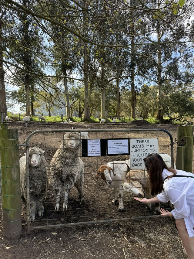 Up close & personal with furry friends! 