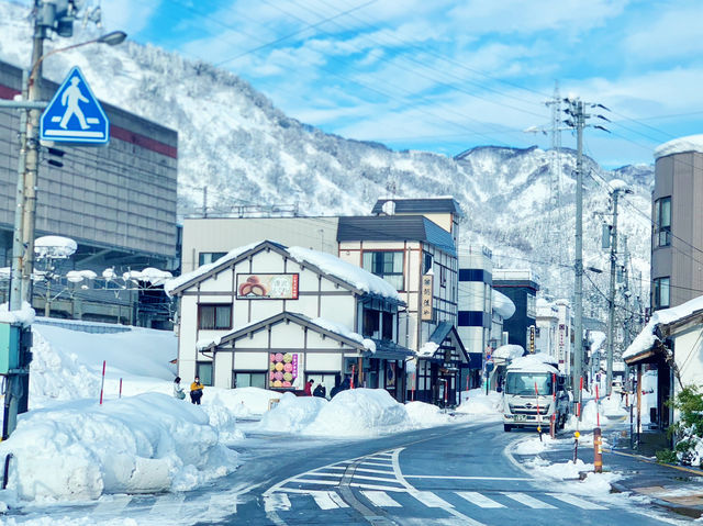 【贅沢な移動】上越新幹線グリーン車で快適スキー旅🚄🎿