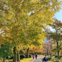 天神中央公園～美麗河濱🍂🎶