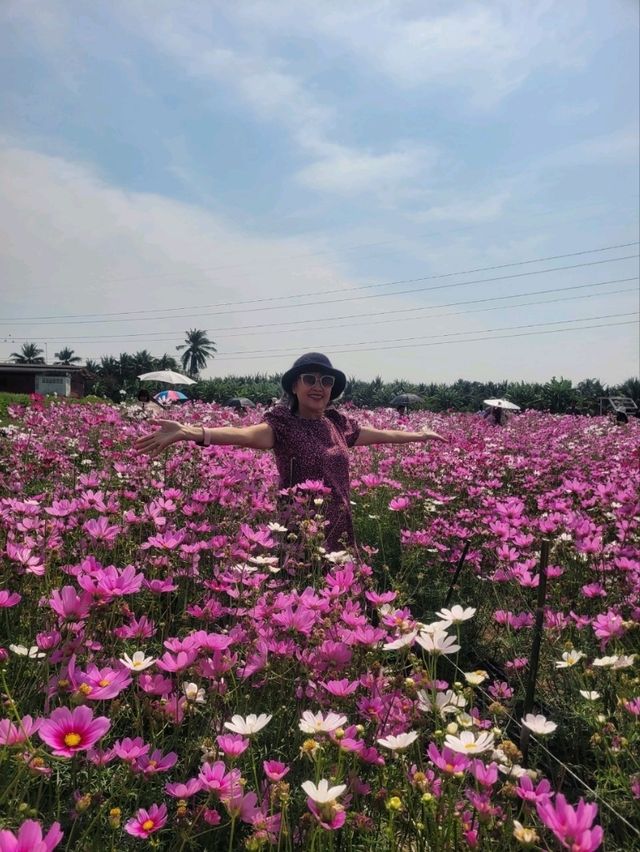 สวนดอกไม้ สมาภรณ์ การ์เด้น