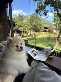 📍 โรงแรม Pet friendly 🐶💖 Kirimaya Khao Yai 🌿