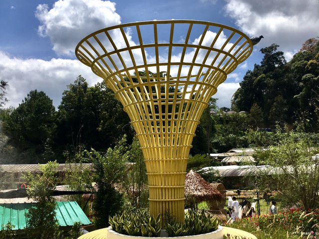 Chill to Thrill:Flower Wonderland 