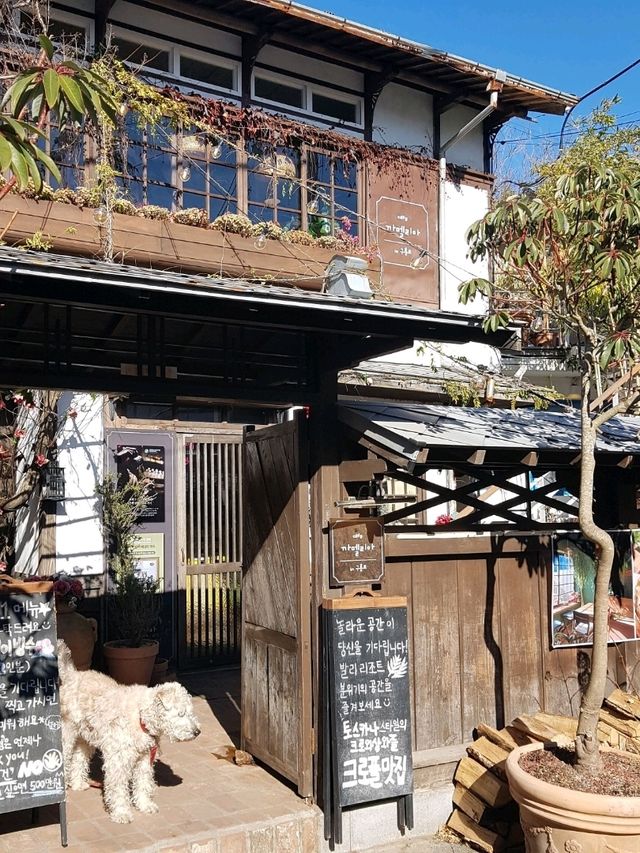 시간이 멈춘 곳, 구룡포 일본인 가옥거리에서 인생샷 찍기 🏠