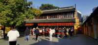 Experience at Longhua Temple