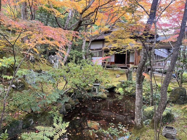 The Everlasting Light of Wisdom in Nirvana — The Jojakko-ji Temple in Arashiyama 