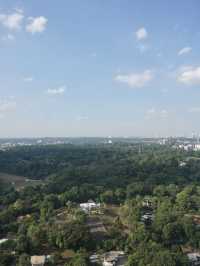 From Skyline to Greenery: The Serene Beauty of Skyville @ Dawson