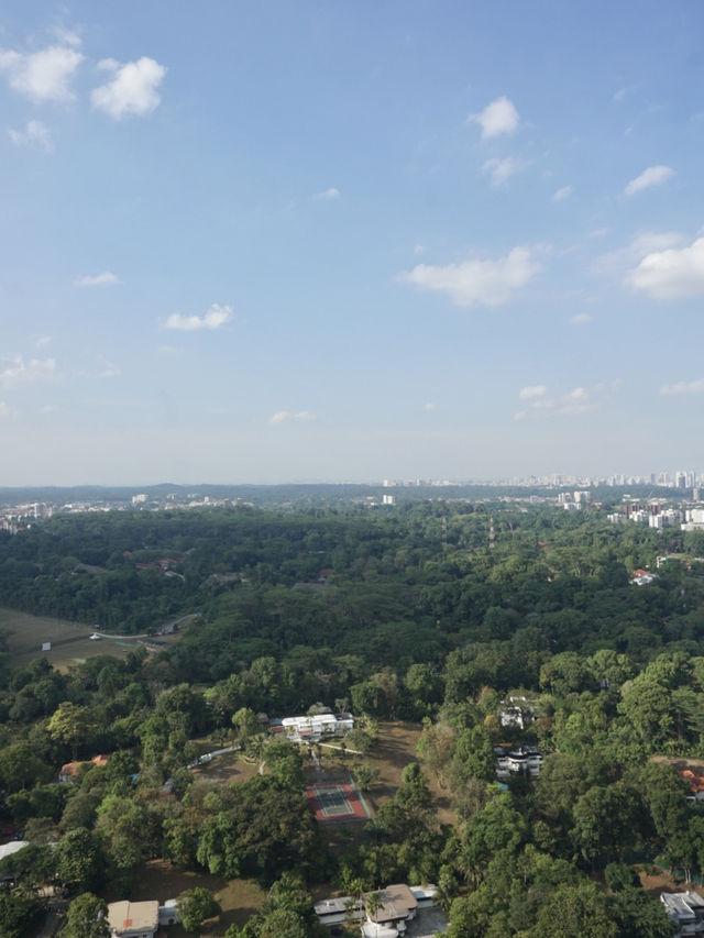From Skyline to Greenery: The Serene Beauty of Skyville @ Dawson