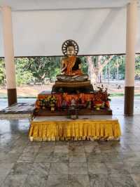 ชมสวนสาธารณะ เกาะลำพู สุราษฎร์ธานี