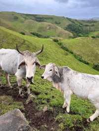 3-Day Utimate Batanes Getaway