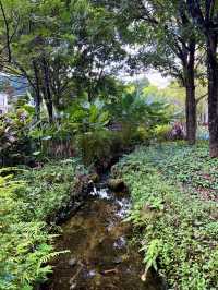 “Starling Mall: Where Shopping Meets Nature”
