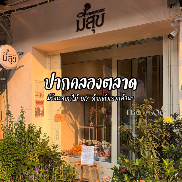 มีสุข - meesook ร้านดอกไม้ DIY ด้วยตัวเอง 💐✨ 
