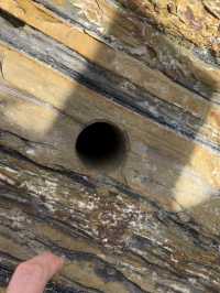 “Lambir Hills: Unraveling the Geological Tapestry of Sarawak’s Sandstone Legacy”