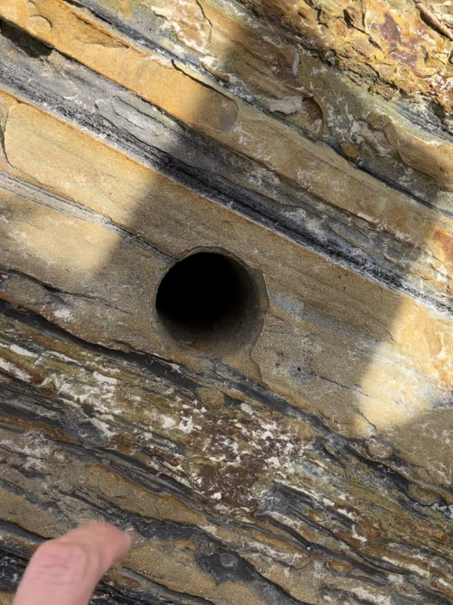 “Lambir Hills: Unraveling the Geological Tapestry of Sarawak’s Sandstone Legacy”